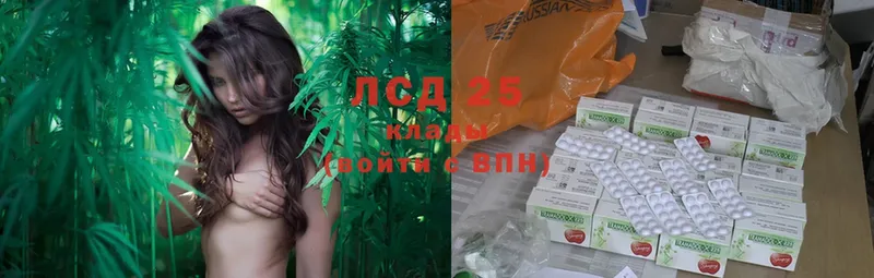 LSD-25 экстази кислота  Каменск-Шахтинский 